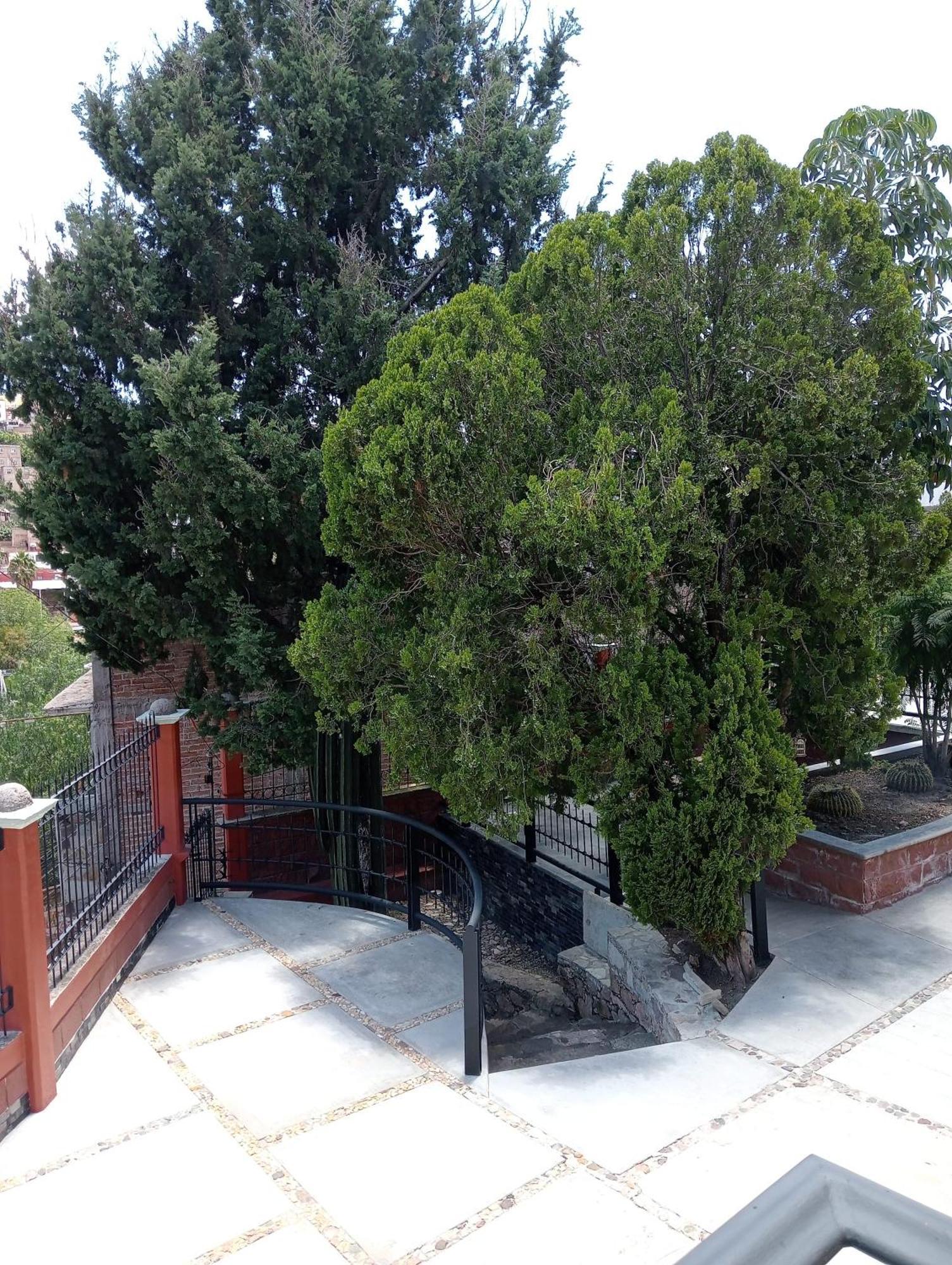 Quinta Mercedes Guanajuato Exteriér fotografie