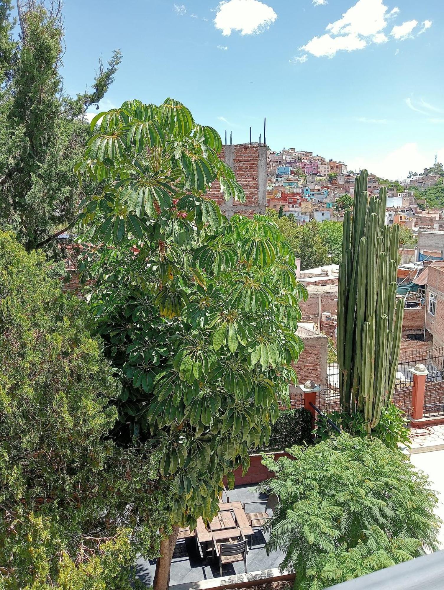 Quinta Mercedes Guanajuato Exteriér fotografie