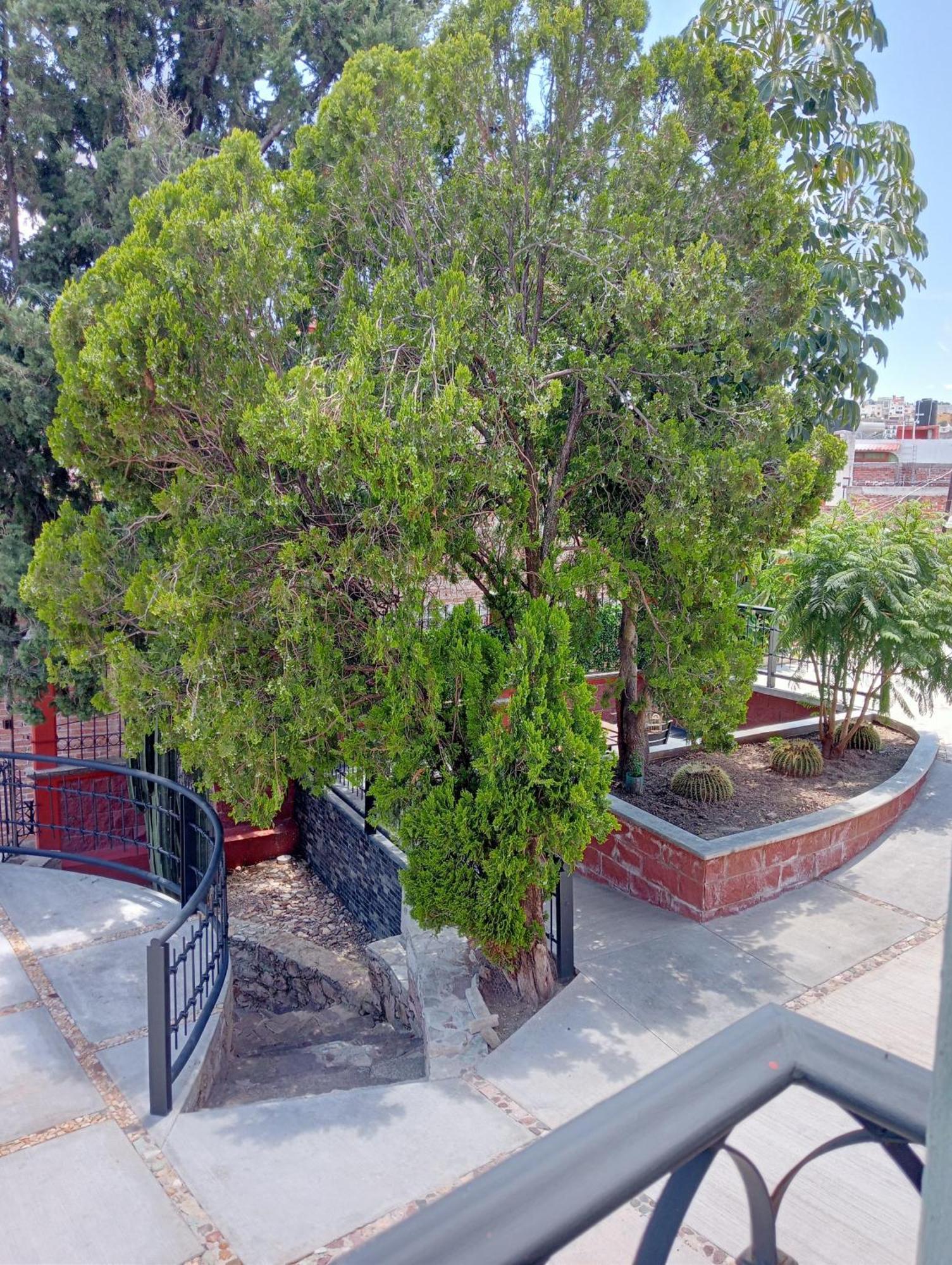 Quinta Mercedes Guanajuato Exteriér fotografie
